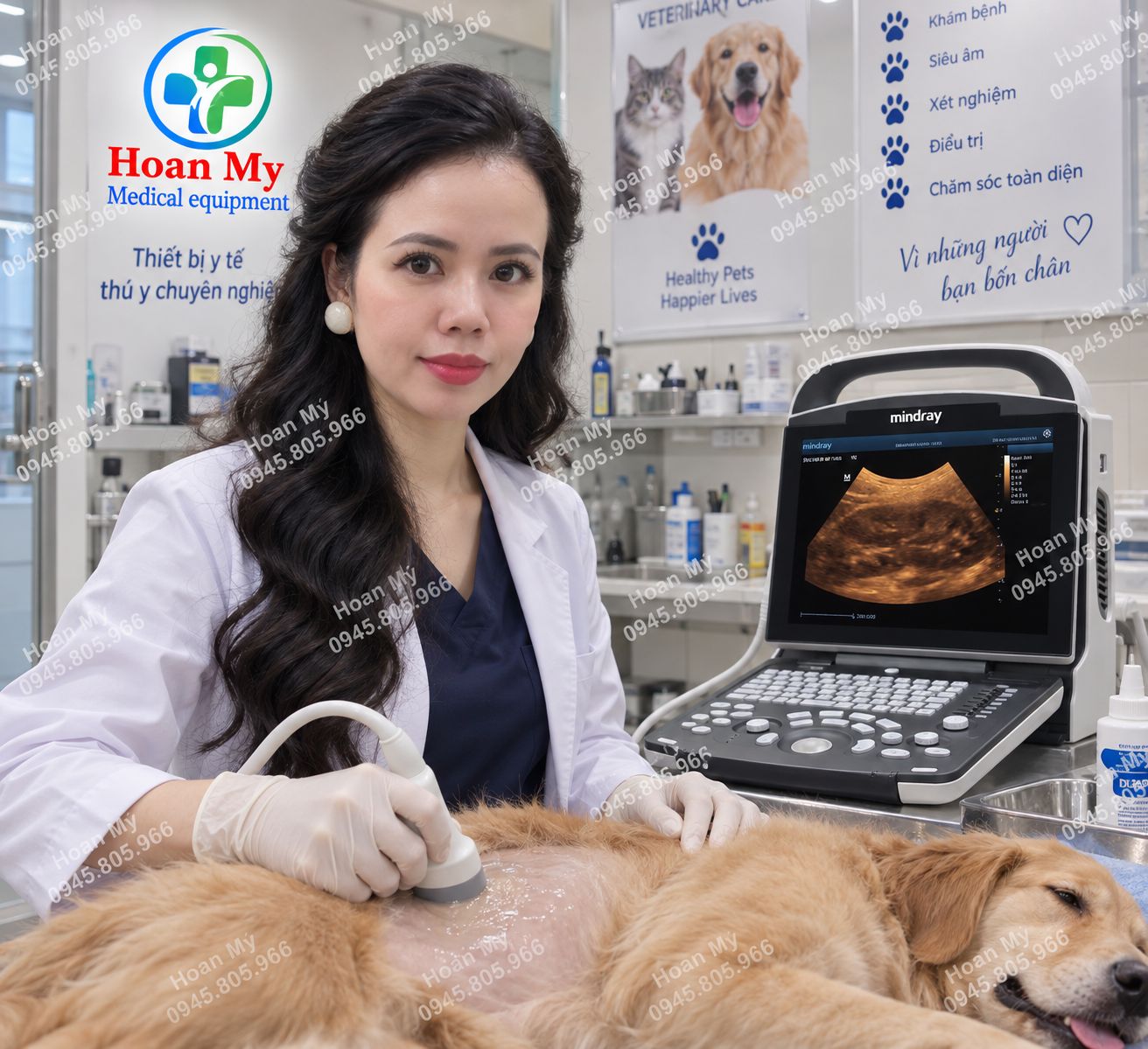 Bảng gi&aacute; m&aacute;y si&ecirc;u &acirc;m th&uacute; y mới nhất 2026 - Từ phổ th&ocirc;ng đến cao cấp